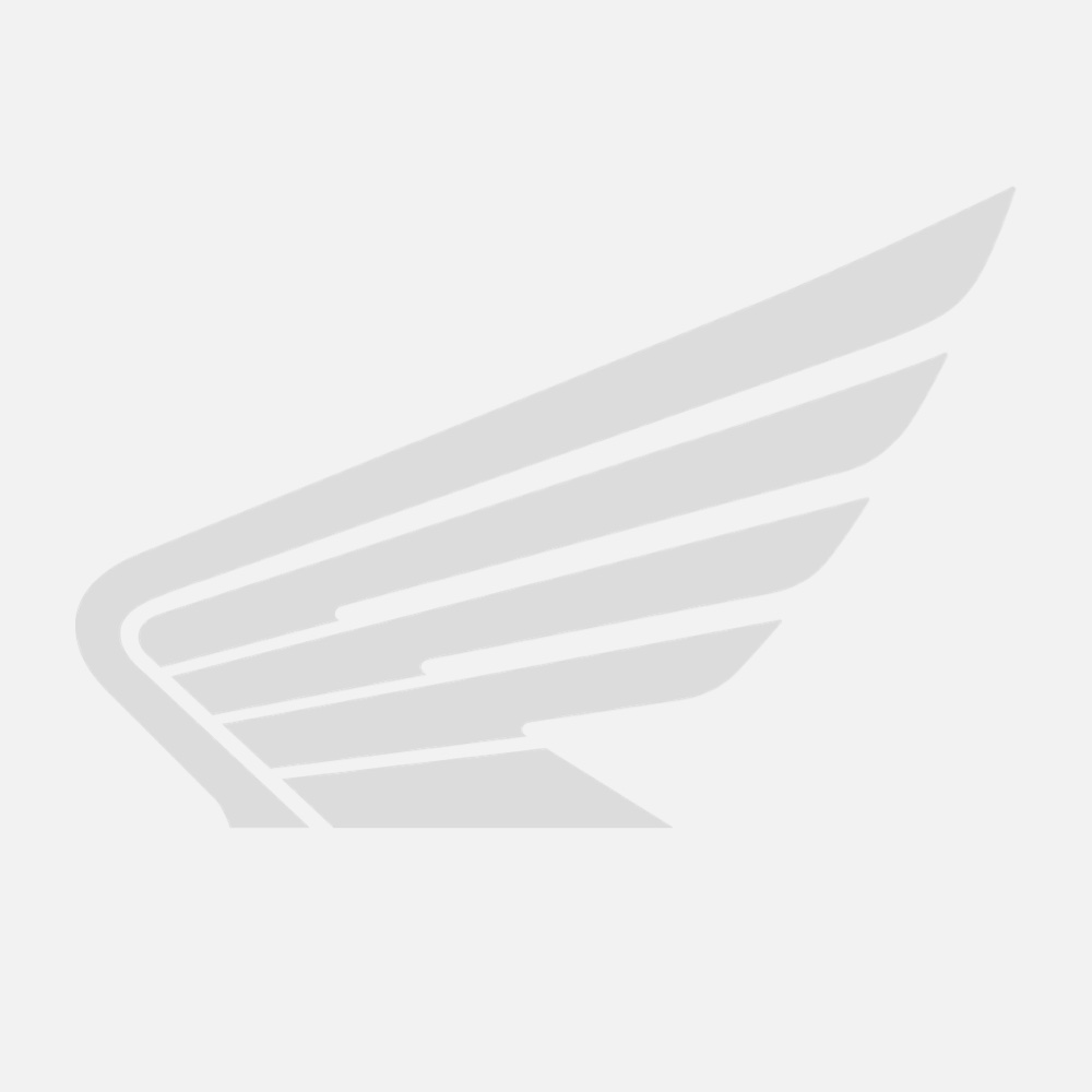 Pioneer 520 Work Light