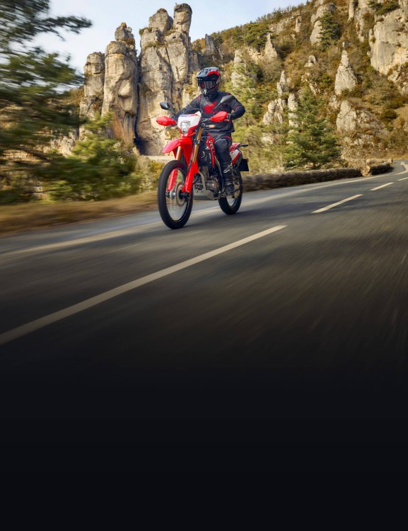 Disc Brakes with ABS