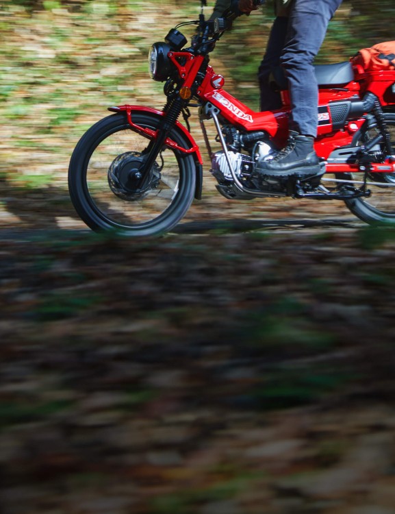 Programmed Fuel Injection (PGM-FI)