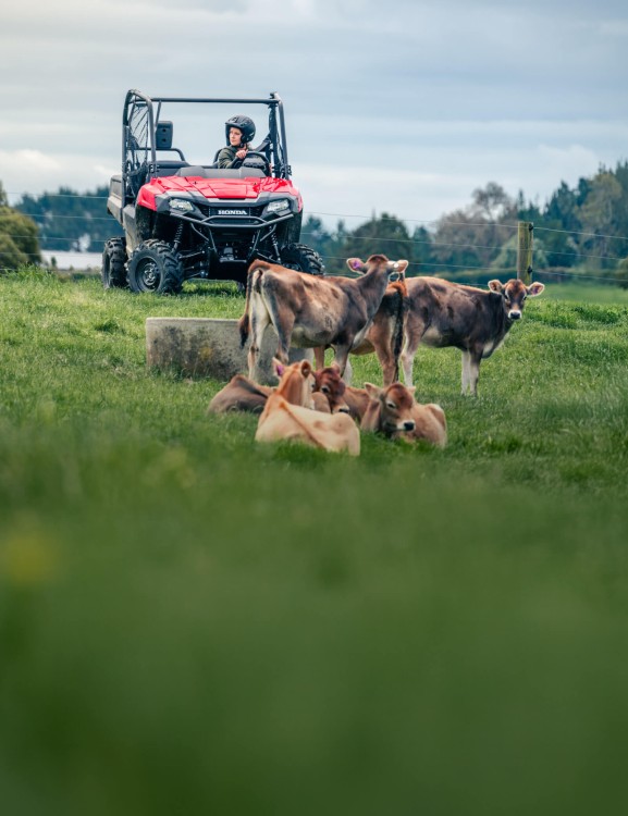 Strong Gearbox Strong Gearbox