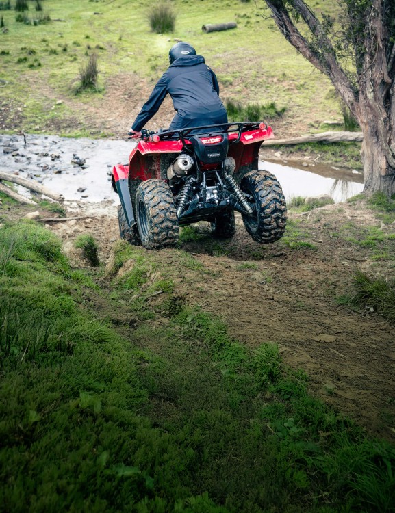 Independent Rear Suspension (IRS)